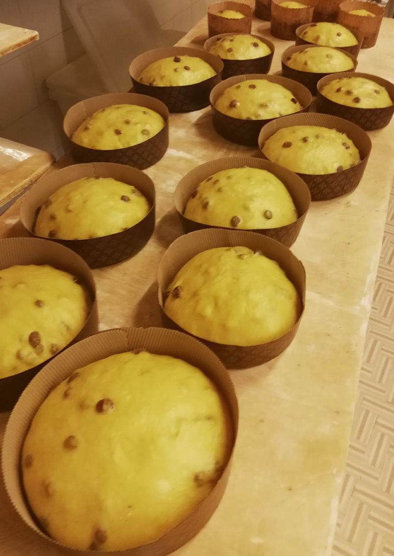 Panettone